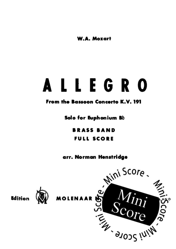 Allegro / Bassoon Concerto - cliquer ici