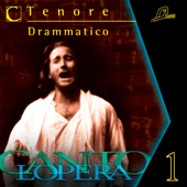 Tenore Drammatico #1 - cliquer ici