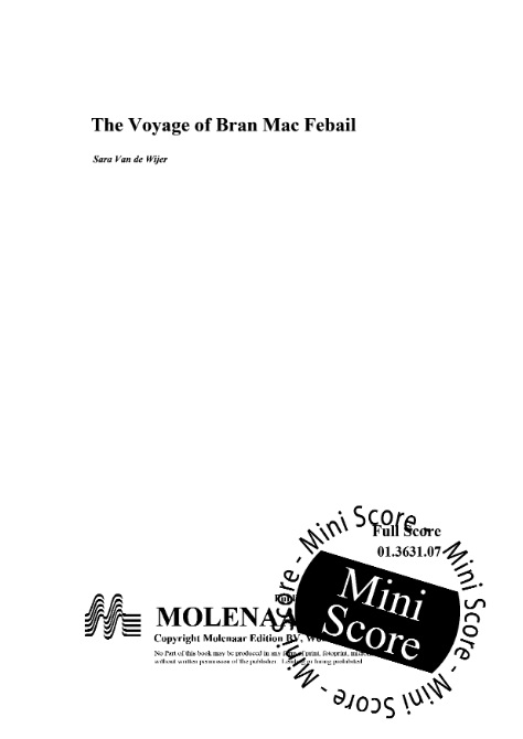 Voyage of Bran Mac Febail, The - cliquer ici
